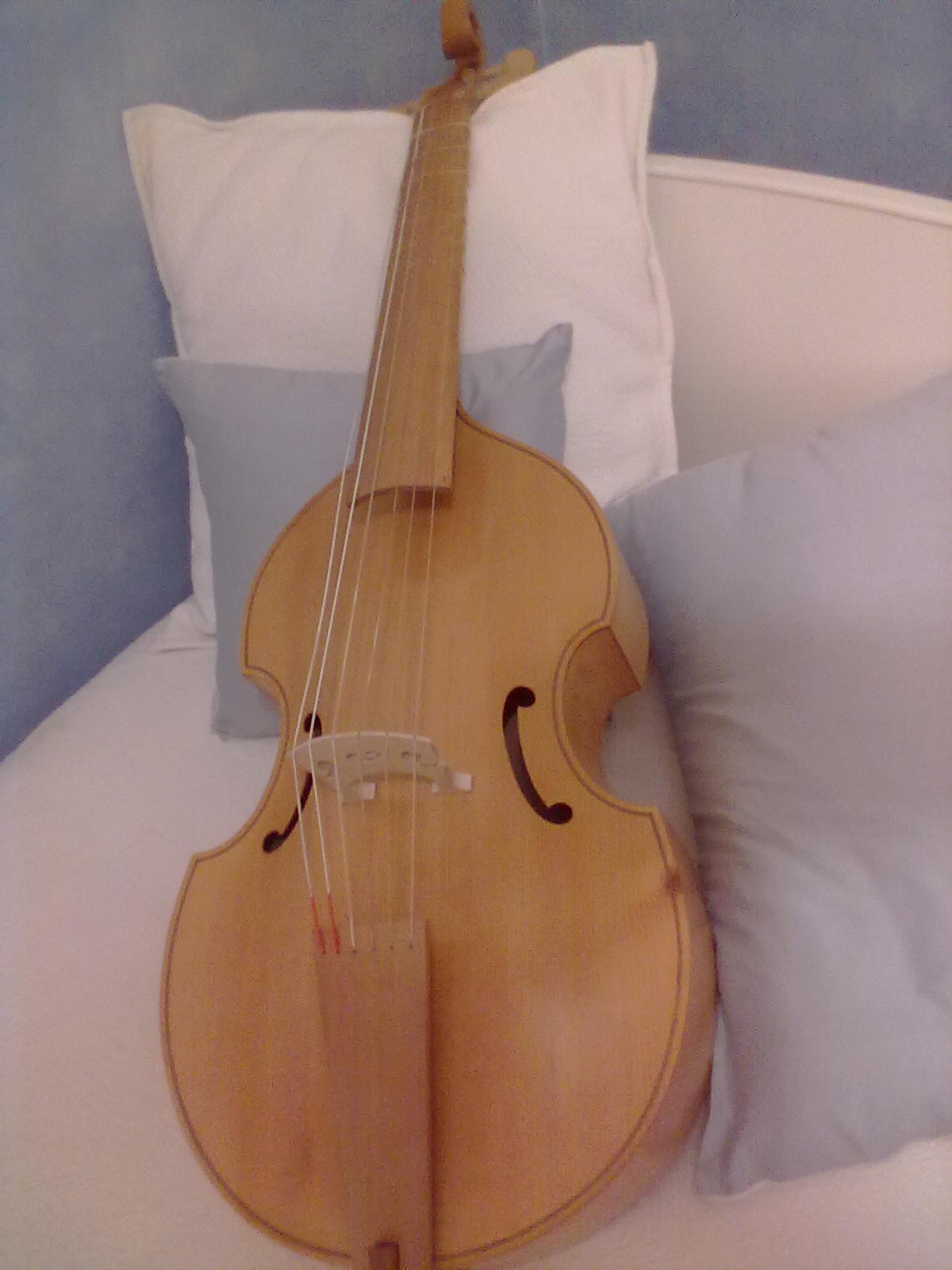 14022012359viole.jpg