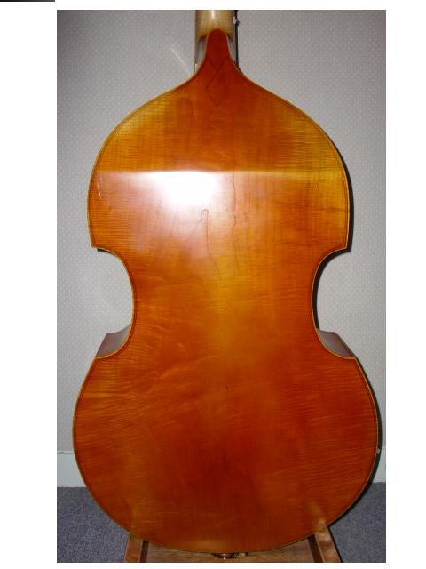 Violone 2.JPG