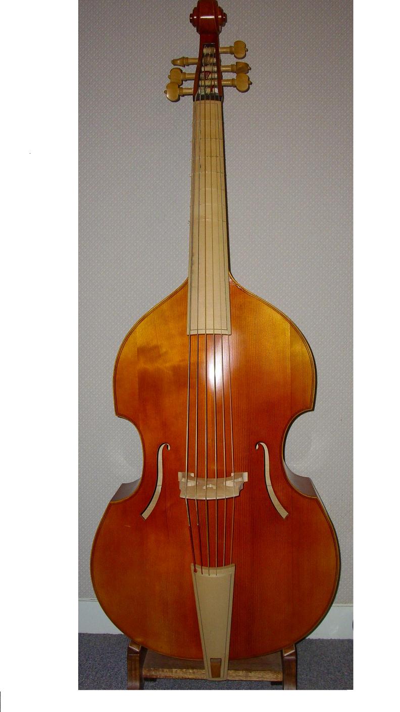 Violone 01.JPG