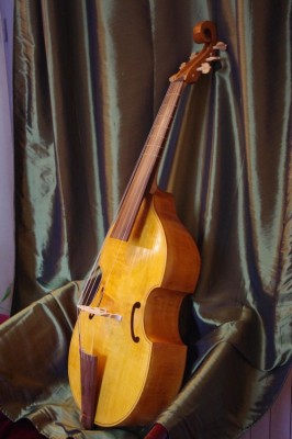 viole2.jpg