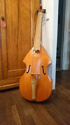 violone.JPG